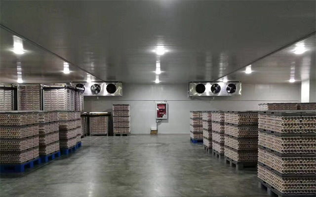 1000噸0-5℃蘋果冷藏庫多少錢，2-4℃冷藏庫建設